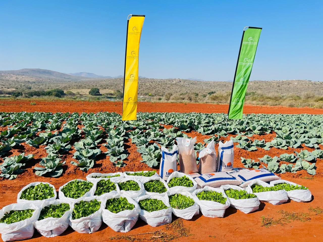 Agriculture opportunities in iLembe